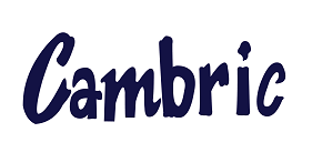 logo_cambric_.png